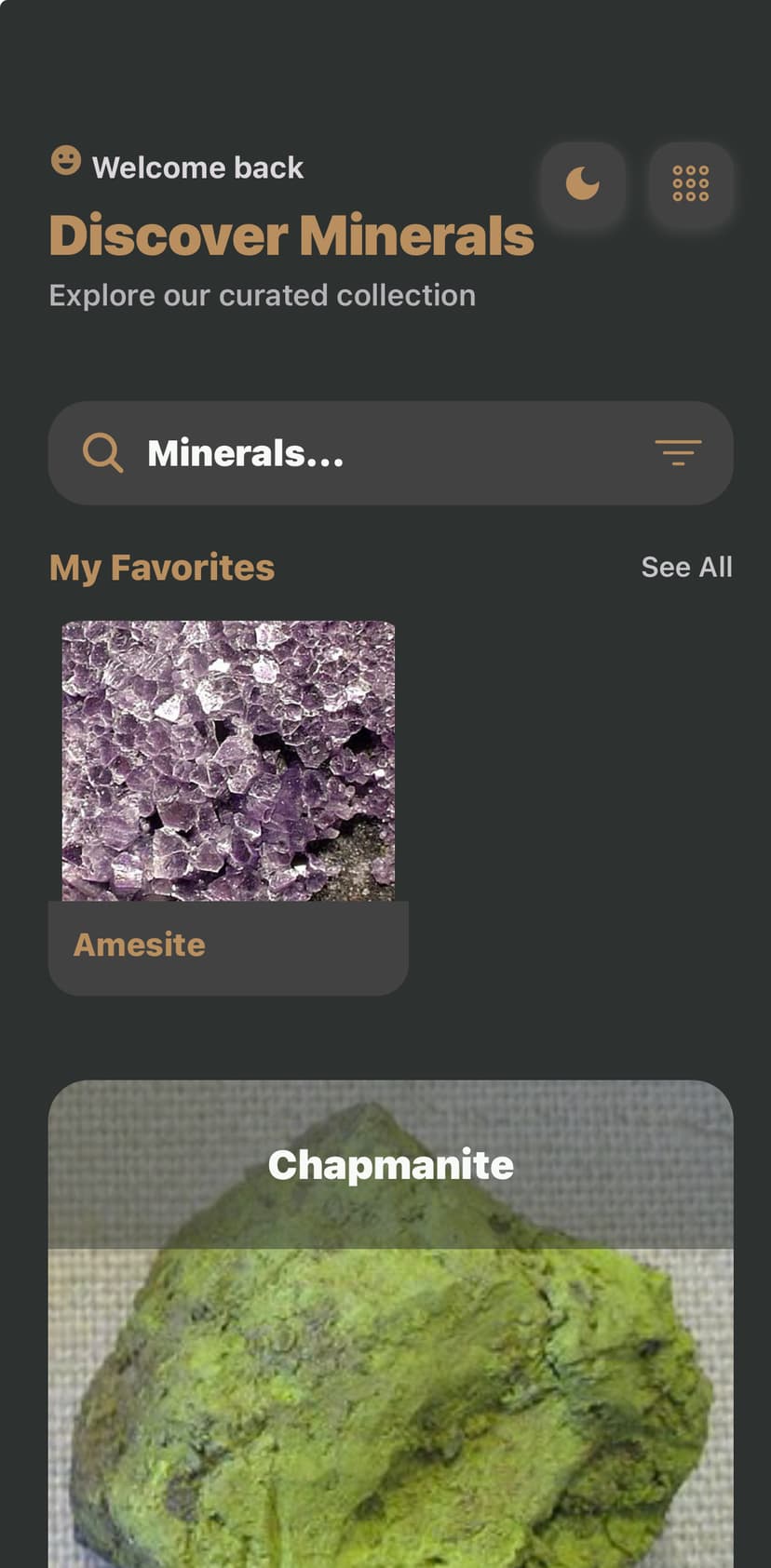 Mineralify Main Interface